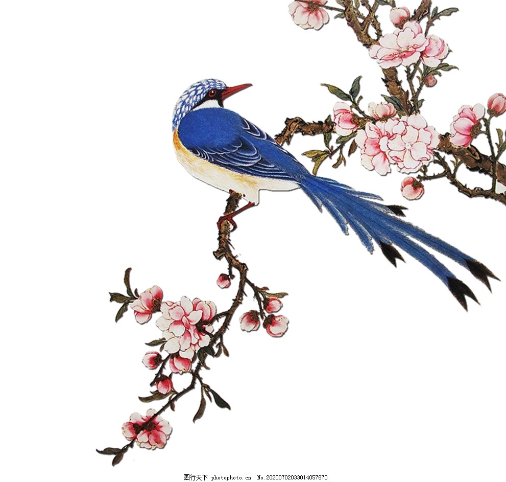 梅の花に集まるメジロなどの小鳥たち｜ヒヨドリ、シジュウカラ