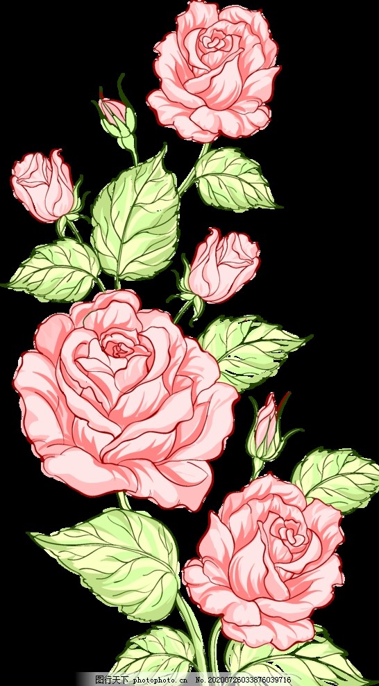 手绘花玫瑰花大牌花乱花图片 其他图片素材 其他 图行天下素材网