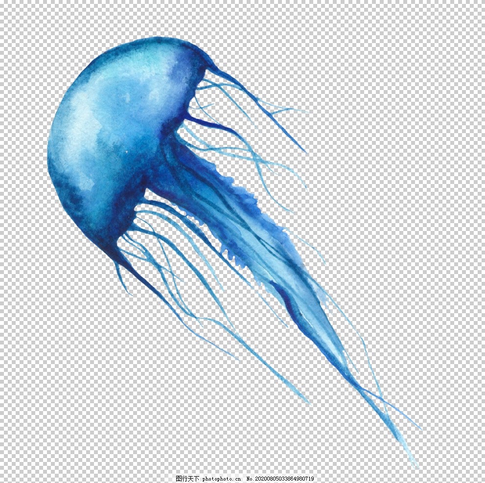 海洋生物水母图案图片 其他 其他 图行天下素材网