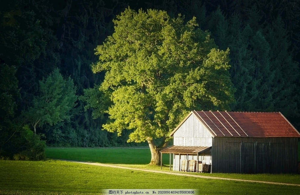 小屋旁的景色图片 自然风景 自然景观 图行天下素材网