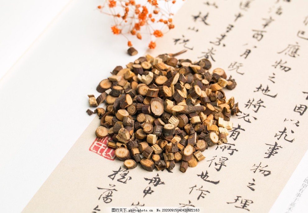 桂枝,柳桂,玉桂,肉桂嫩枝,中药,中药材,药材,摄影,餐饮美食,食物原料,300DPI,JPG